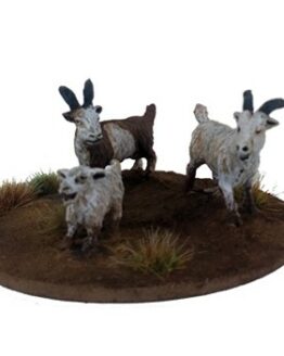 DMH076 Goats
