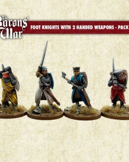 BW45 Foot Knights with Two Handed Weapons 2
