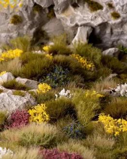 Wild Flowers Set