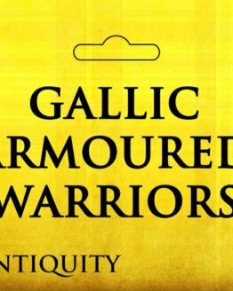 Victrix VXA036 Gallic Armoured Warriors 1