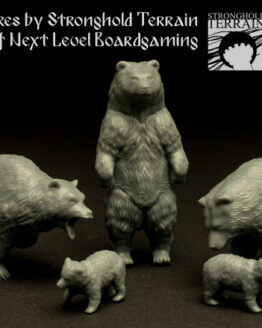 Bears (6)