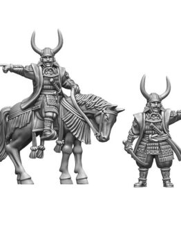 Tokugawa Ieyasu (2)