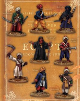 The Silver Bayonet - The Egyptian Unit (8)