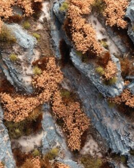Autumn Shrubs