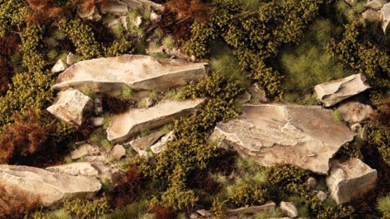 Dry Green Shrubs