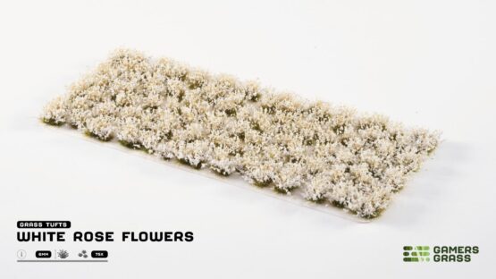 White Rose Flowers – Bild 2