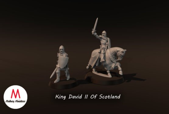 Medbury Miniatures: 4 Point Starter Scots (Schiltrons, Age of Chivalry) (34)