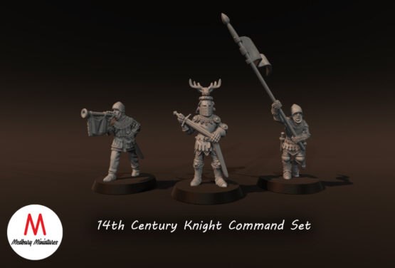 Medbury Miniatures: Early 14th Century Knight Commanders (3)
