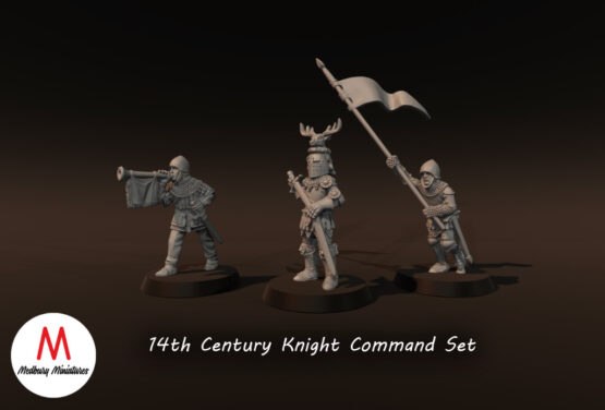 Medbury Miniatures: Early 14th Century Knight Commanders (3) - Image 5