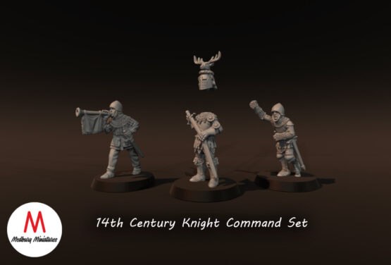 Medbury Miniatures: Early 14th Century Knight Commanders (3) - Image 2
