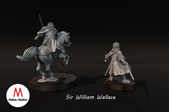 Medbury Miniatures: William Wallace (2) - Image 3