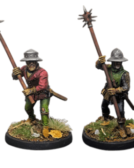 V&V Miniatures: Hussite Warriors 1 (4)
