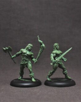 Stormrider Clan: Barbarian Twins (2)