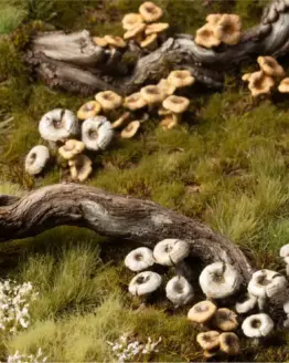Gamers Grass: Basing Bits - Forest Mushrooms