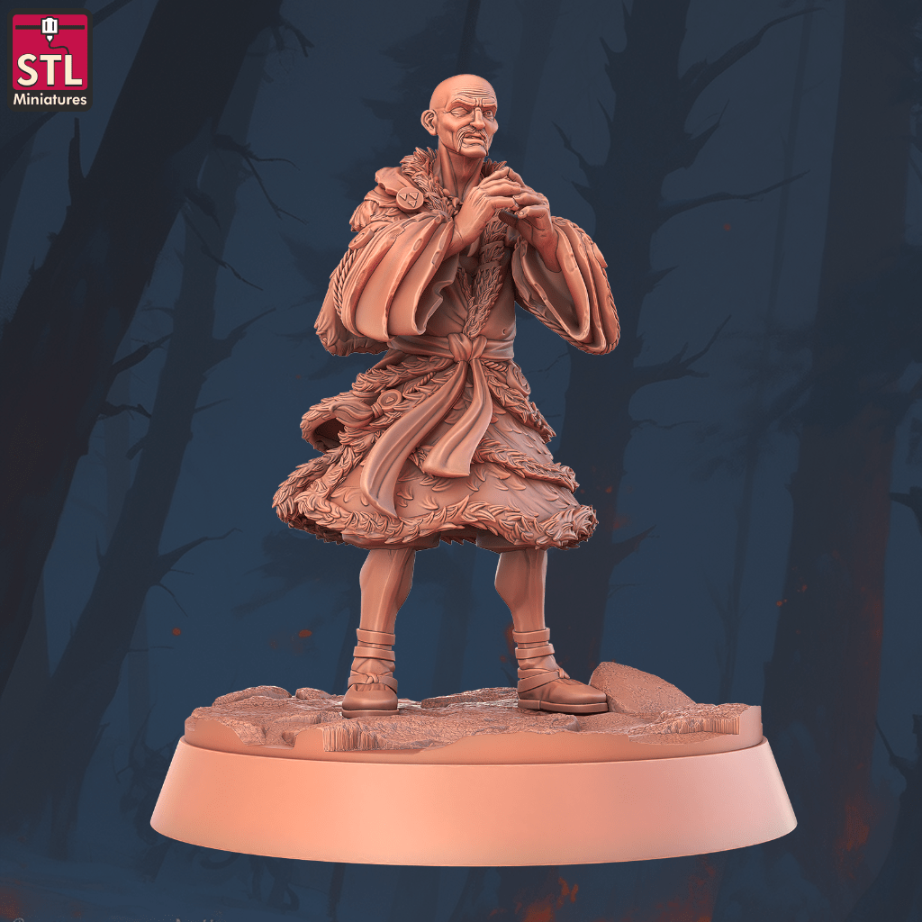 STL-Miniatures: Wizard (Conan the Barbarian)