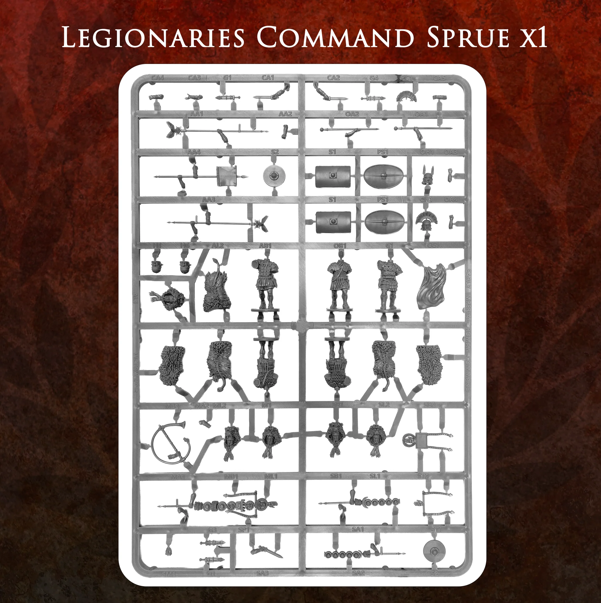 Victrix Pillage: Imperial Rome Warband (46) - Image 9