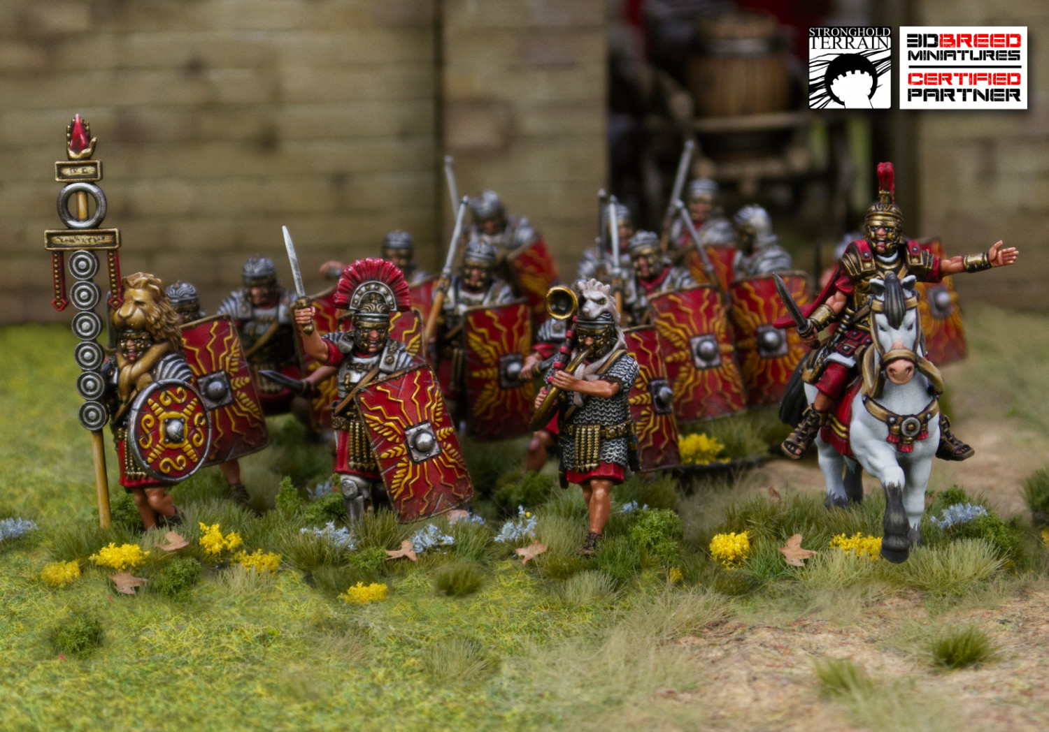 3DBreed - Imperial Romans - 4 Point Army (24) - Image 3
