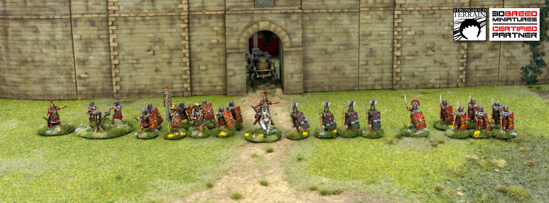 3DBreed - Imperial Romans - 4 Point Army (24) - Image 2